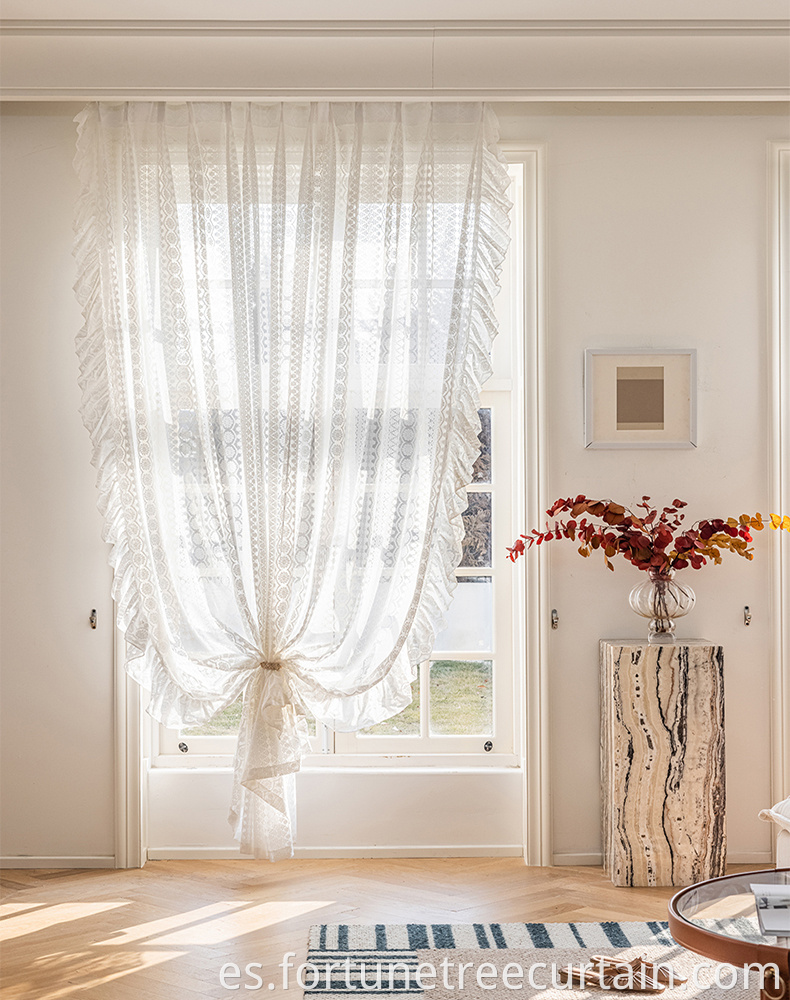 Transparent Embroidered Gauze Curtains
